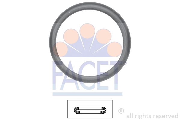 Seal, thermostat (7.9598)