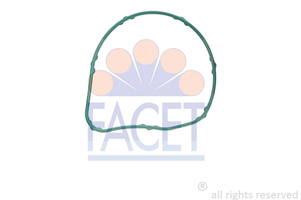 Seal, thermostat (7.9713)