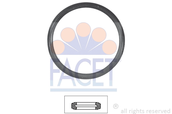Seal, thermostat (7.9567)