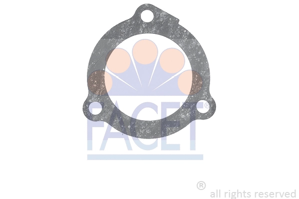 Seal, thermostat (7.9572)