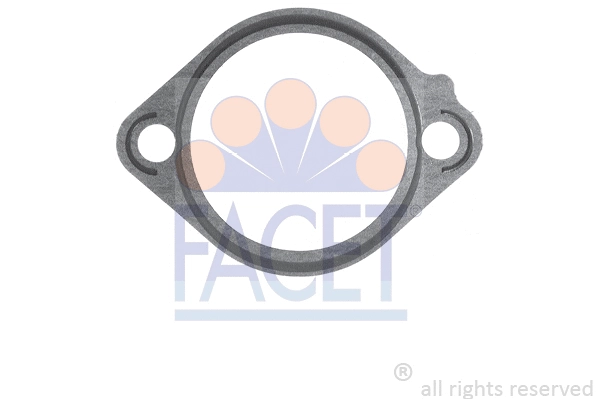 Seal, thermostat (7.9514)