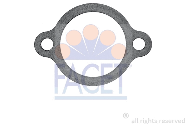 Seal, thermostat (7.9586)