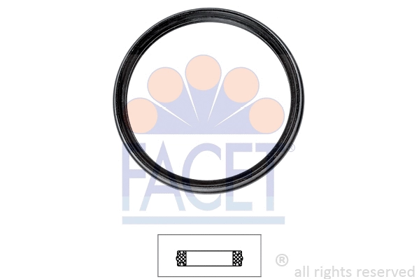 Seal, thermostat (7.9720)