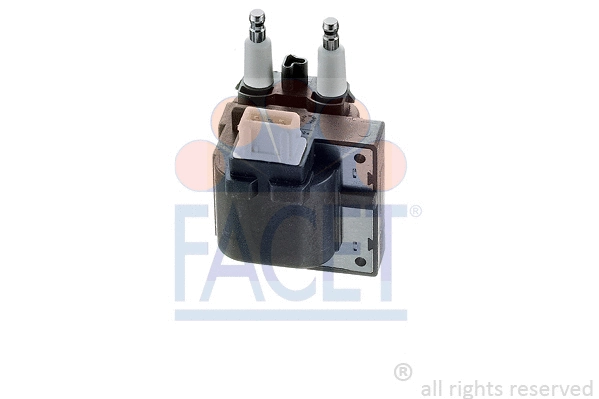 Ignition Coil (9.6256)