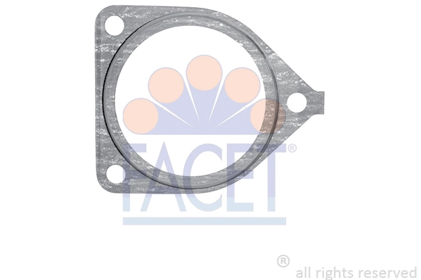 Seal, thermostat (7.9597)
