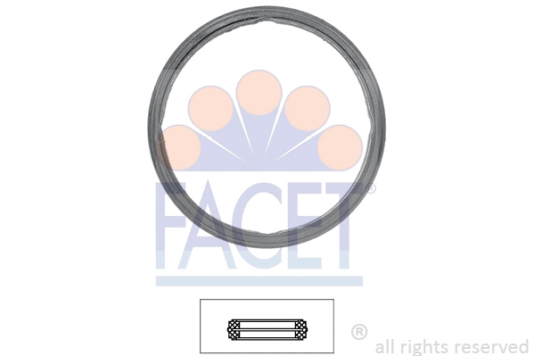 Seal, thermostat (7.9600)