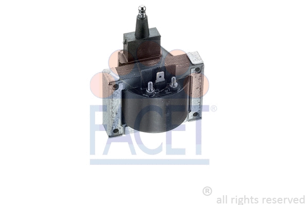 Ignition Coil (9.6007)