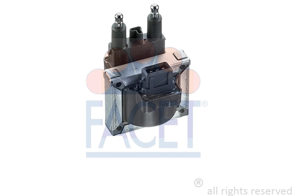 Ignition Coil (9.6175)