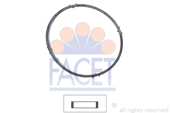 Seal, thermostat (7.9701)