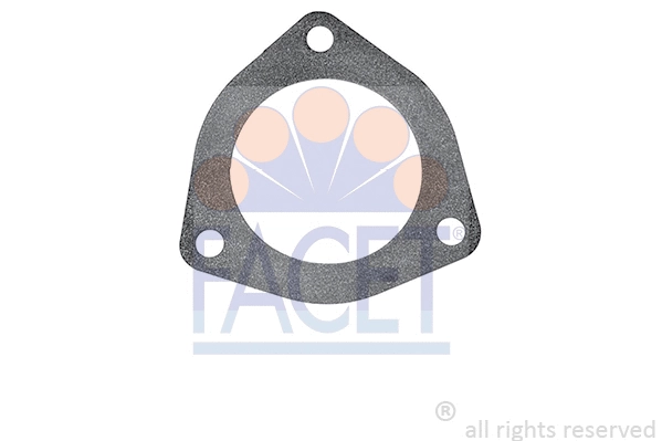 Seal, thermostat (7.9661)