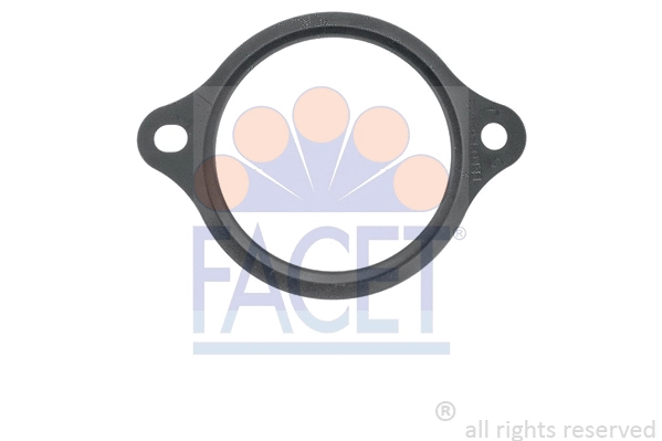 Seal, thermostat (7.9728)