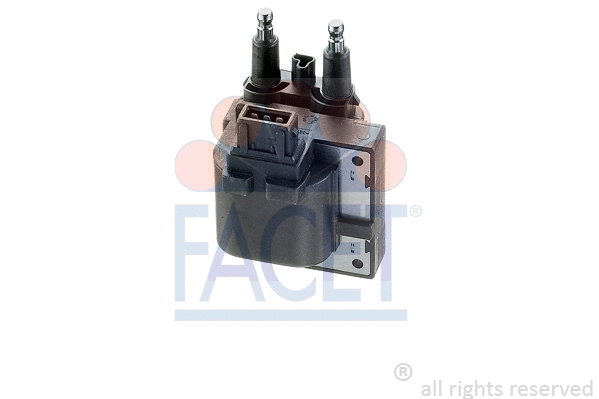 Ignition Coil (9.6255)