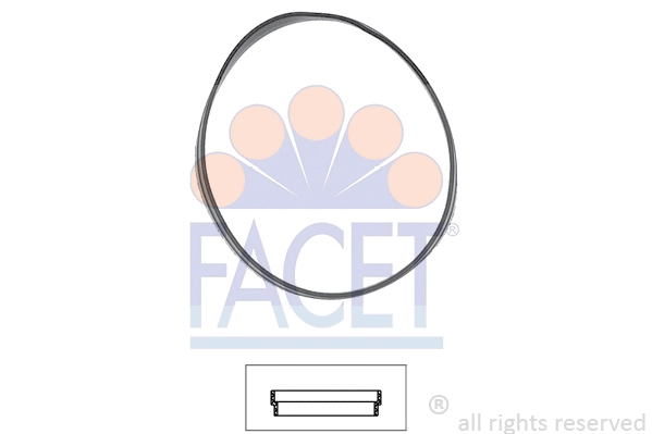 Seal, thermostat (7.9631)