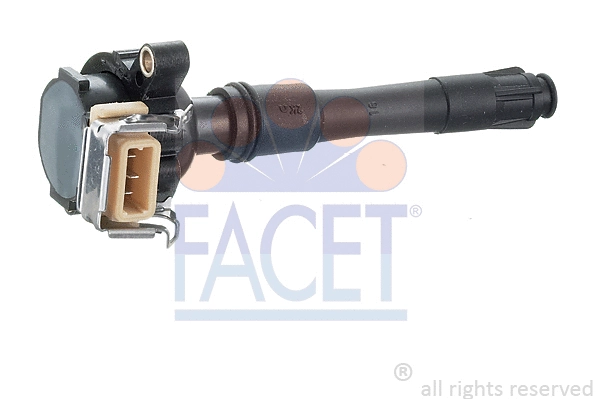 Ignition Coil (9.6313)