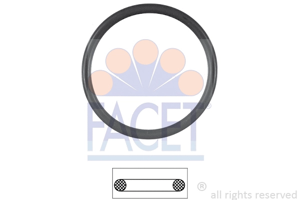 Seal, thermostat (7.9538)