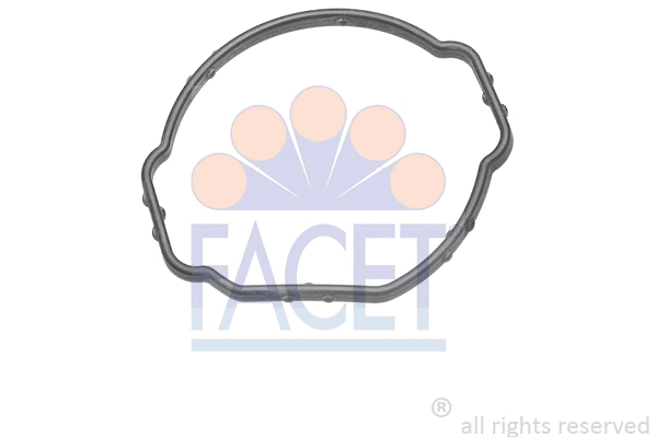 Seal, thermostat (7.9689)