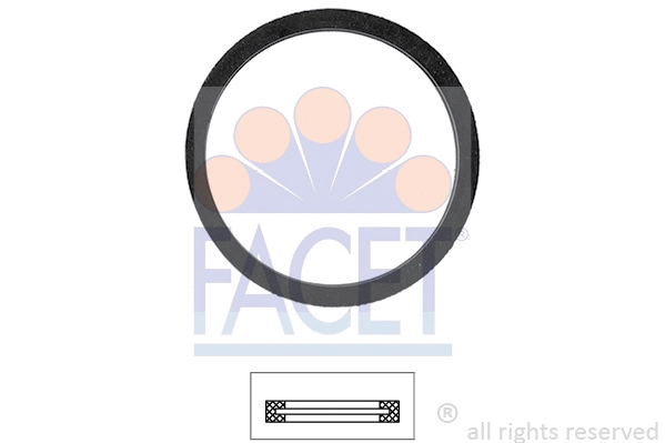 Seal, thermostat (7.9553)