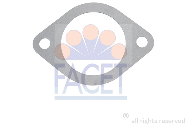 Seal, thermostat (7.9557)