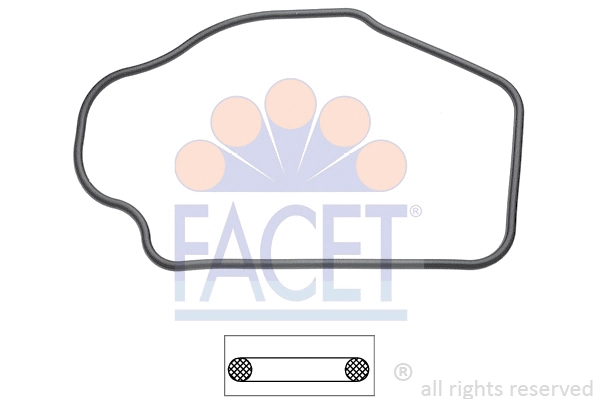 Seal, thermostat (7.9552)