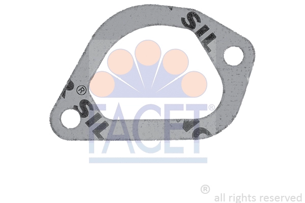 Seal, thermostat (7.9507)