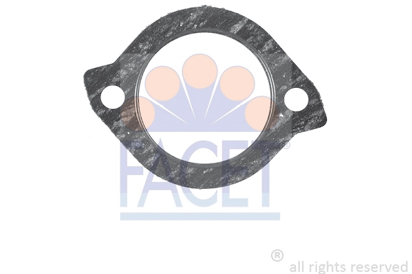 Seal, thermostat (7.9520)