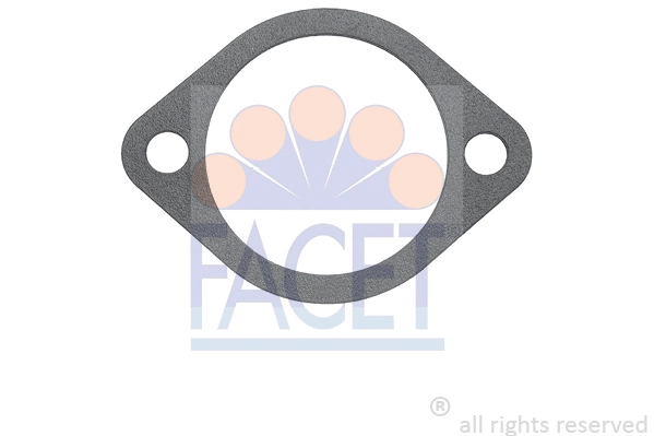 Seal, thermostat (7.9588)