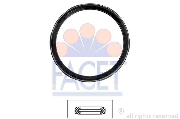 Seal, thermostat (7.9722)