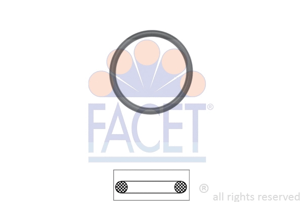Seal, thermostat (7.9629)