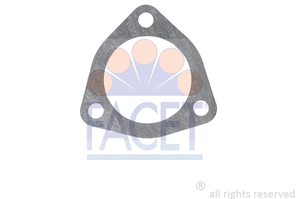 Seal, thermostat (7.9613)