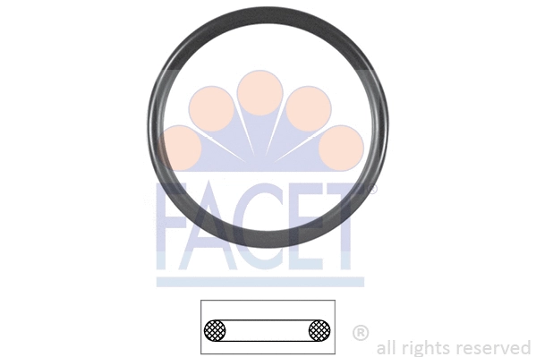Seal, thermostat (7.9590)