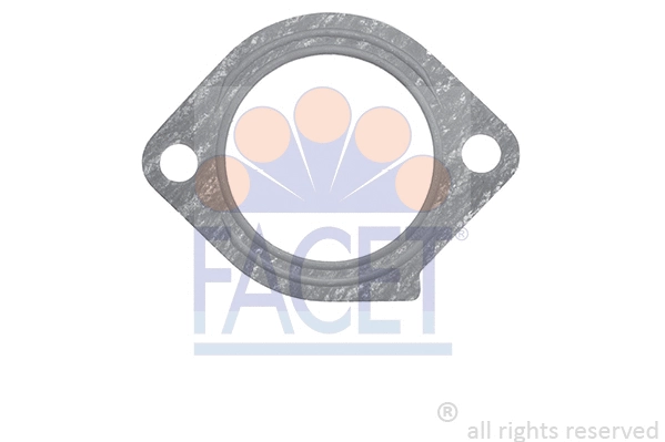 Seal, thermostat (7.9593)