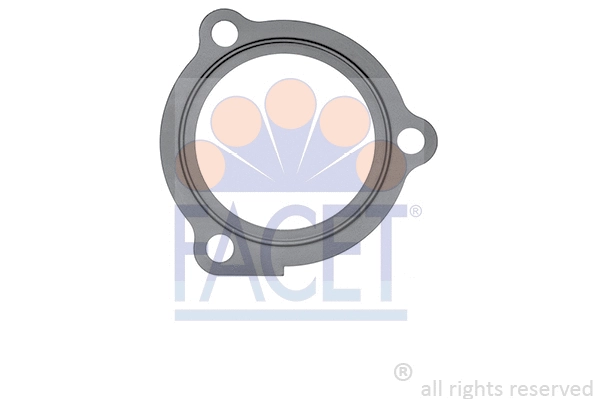 Seal, thermostat (7.9663)