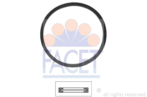 Seal, thermostat (7.9528)
