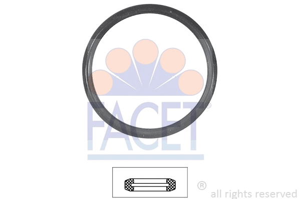 Seal, thermostat (7.9584)