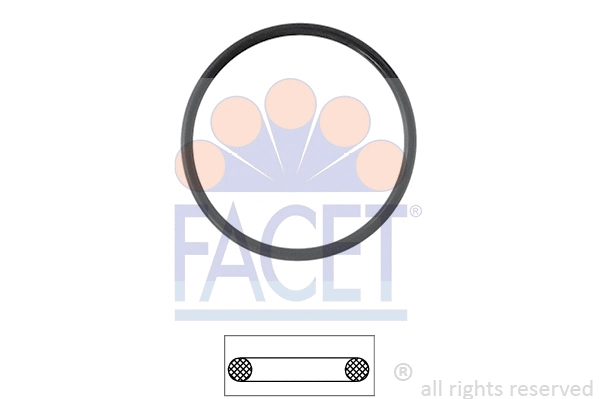 Seal, thermostat (7.9527)