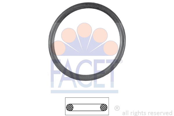 Seal, thermostat (7.9551)