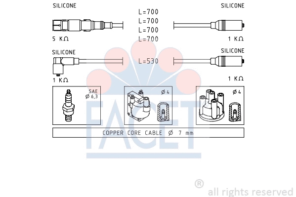 Ignition Cable Kit (4.9551)