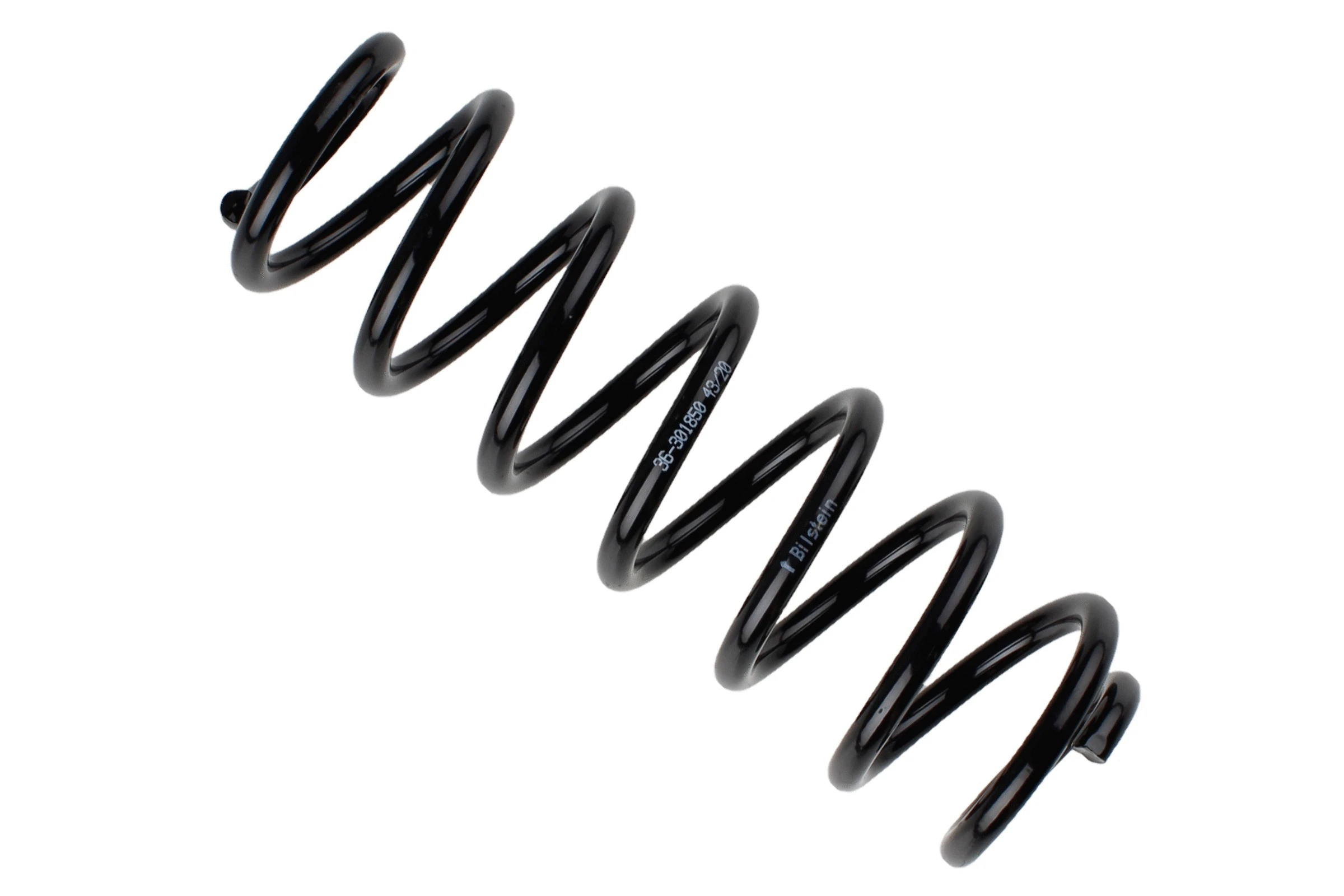 Suspension Spring (36-301850)