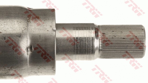 Steering Column