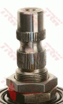 Steering Column
