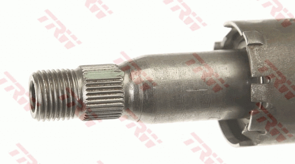 Steering Column