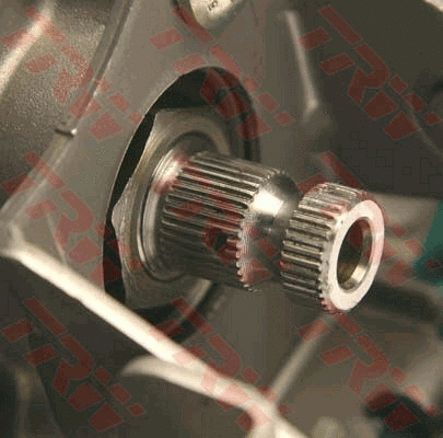 Steering Column