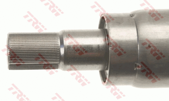 Steering Column